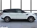 Land Rover Range Rover Sport 3,0 SDV6 HSE Dynamik-Paket Weiß - thumbnail 3