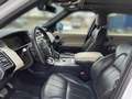 Land Rover Range Rover Sport 3,0 SDV6 HSE Dynamik-Paket Weiß - thumbnail 13