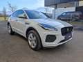 Jaguar E-Pace 2,0DI4 D150 R-Dynamic SE AWD Aut. Weiß - thumbnail 7