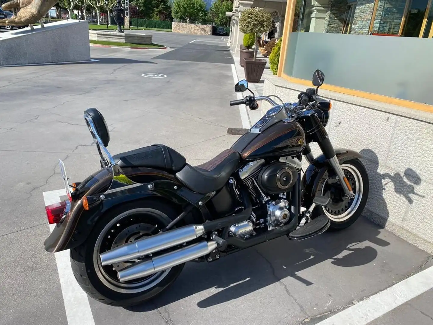 Harley-Davidson Fat Boy LO SPECIAL 110 th Aniversary Marrón - 1