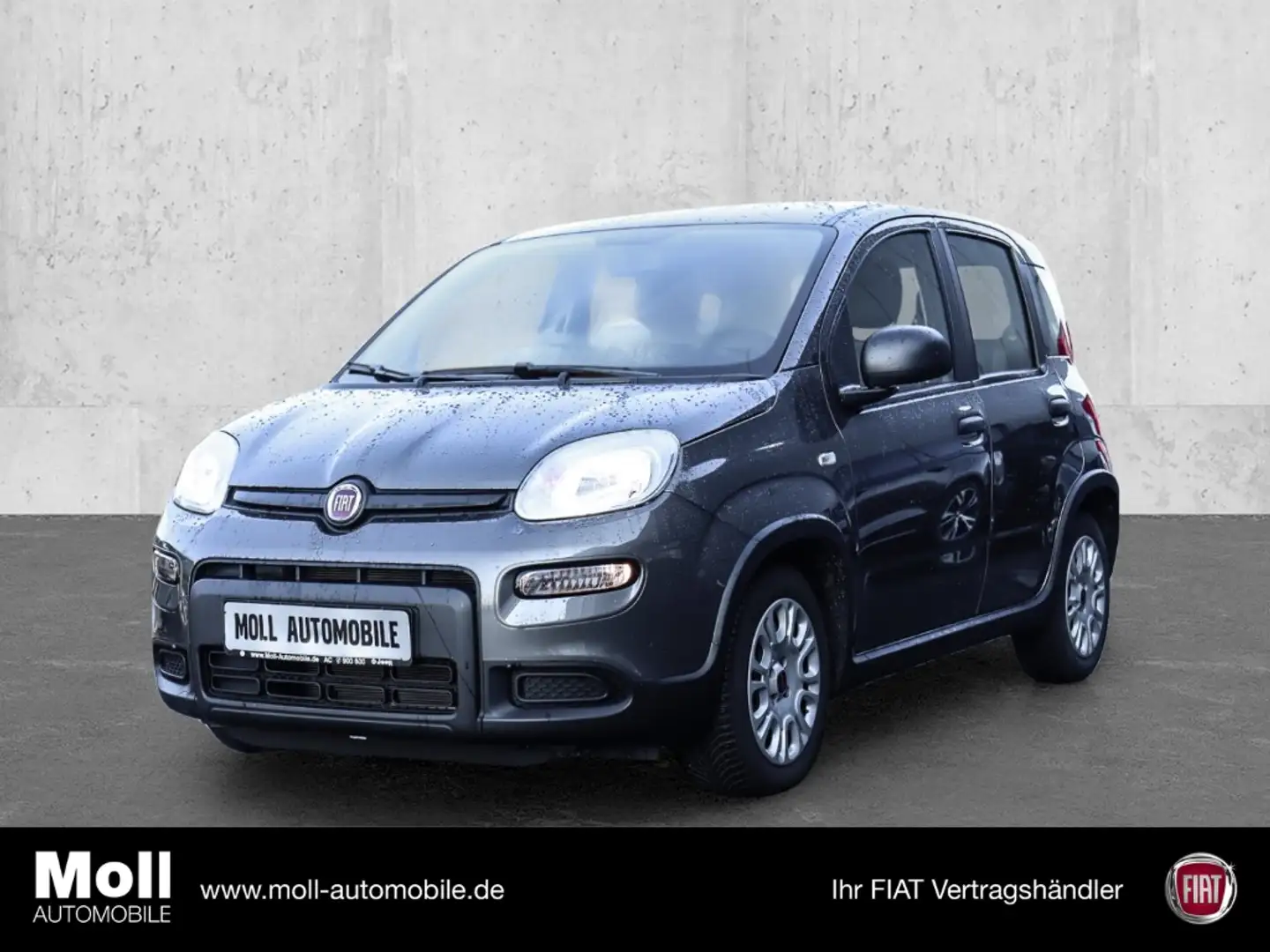 Fiat Panda DAB Berganfahrass. Klima BT teilb.Rücksb eFH RDC R Grau - 1