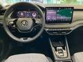 Skoda Octavia Combi 2.0 TDI Selection DSG AHK MATRIX ACC RFK Grau - thumbnail 7