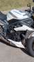 Triumph Street Triple 675 Bianco - thumbnail 11