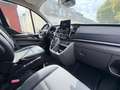 Ford Transit /Tourneo L1 Active-WENIG KM!-Automatik Blau - thumbnail 6