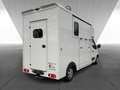 Nissan Interstar Stablehopper Stallion Light SafetyPack Grau - thumbnail 8