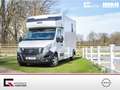 Nissan Interstar Stablehopper Stallion Light SafetyPack Grau - thumbnail 1