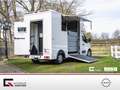 Nissan Interstar Stablehopper Stallion Light SafetyPack Grau - thumbnail 4