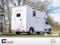 Nissan Interstar Stablehopper Stallion Light SafetyPack Grau - thumbnail 2