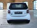 smart forTwo EQ  cabrio LED/PDC/KAMERA/WINTER/ - thumbnail 5