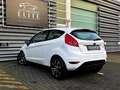 Ford Fiesta 1.25 Limited|NW APK|NW Distributie Wit - thumbnail 22