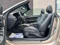 Audi A5 A5 Cabriolet 2.0 TDi Start/Stop DPF Bronce - thumbnail 7