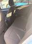 Volkswagen Golf Golf VIII 2026 2.0 tdi Edition Plus 115cv - thumbnail 6