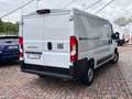 Fiat Ducato 33 2.2 Mjt 140CV MH1 Furgone My25 Bianco - thumbnail 5