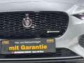 Jaguar XE R-Dynamic Black/360''KAM/PANO/EXCLUSIV/MERIDI Grau - thumbnail 39