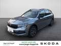 Skoda Kamiq Drive 1,0 TSI 85 kW 7-Gang-DSG Grau - thumbnail 1