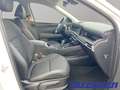 Hyundai TUCSON Trend Mild-Hybrid Advanced 1.6 T-Gdi DCT MHEV 160P Weiß - thumbnail 9