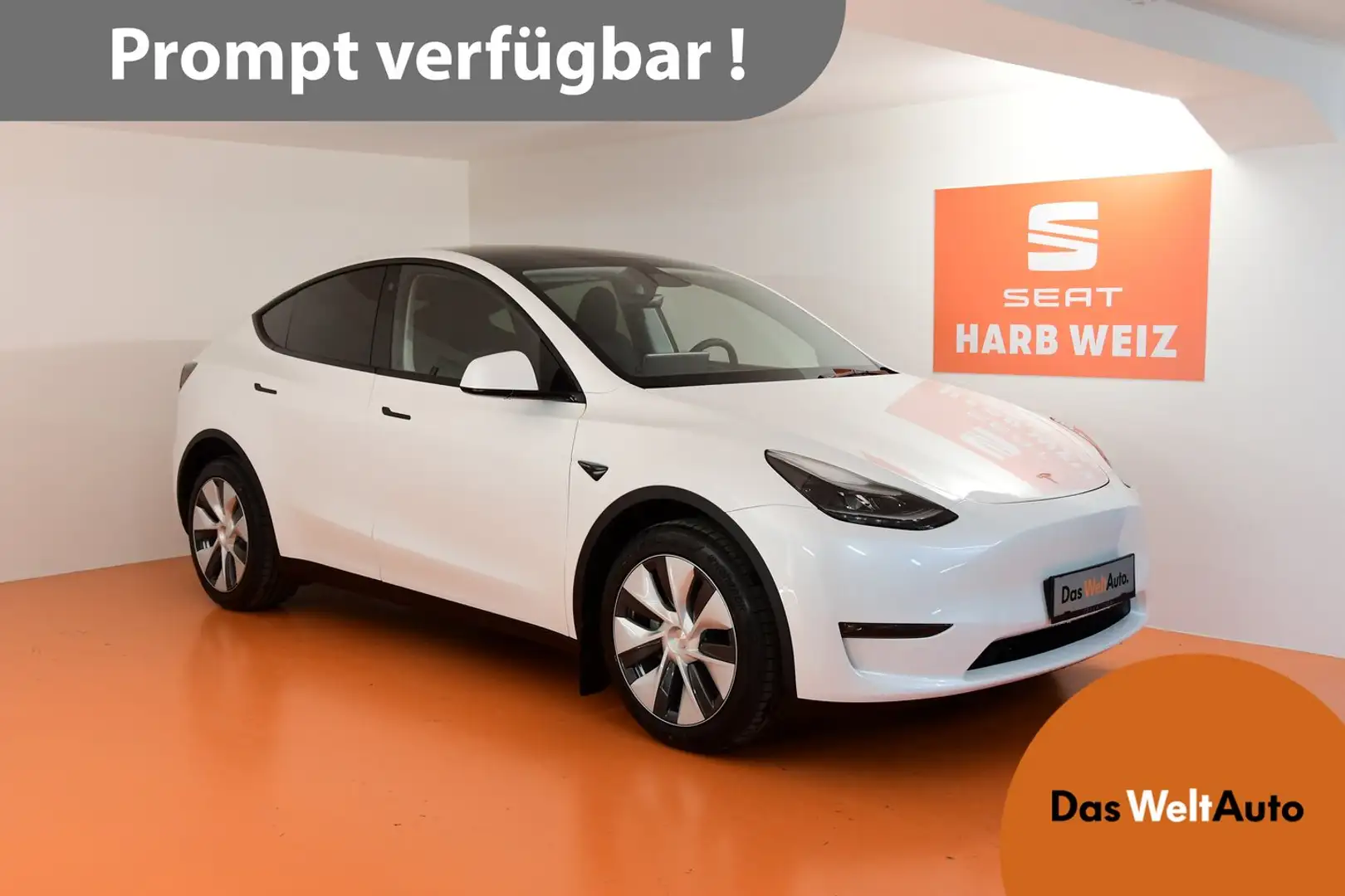 Tesla Model Y Long Range AWD 75kWh Blanc - 1