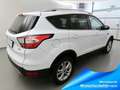 Ford Kuga 1.5 EcoB 4x4 Aut. Titanium Xenon+Kamera+Keyfree Weiß - thumbnail 4