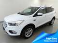Ford Kuga 1.5 EcoB 4x4 Aut. Titanium Xenon+Kamera+Keyfree Weiß - thumbnail 2