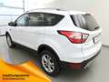 Ford Kuga 1.5 EcoB 4x4 Aut. Titanium Xenon+Kamera+Keyfree Weiß - thumbnail 3