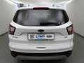 Ford Kuga 1.5 EcoB 4x4 Aut. Titanium Xenon+Kamera+Keyfree Weiß - thumbnail 24