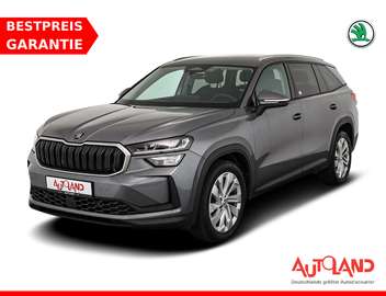 2.0 TDI DSG 4x4 LED ACC Navi 7-Sitzer Kamer