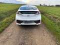 Hyundai IONIQ IONIQ Elektro Elektro Weiß - thumbnail 2