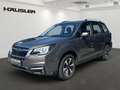 Subaru Forester Comfort*2.0ie*1.Hand*Allrad*Kamera*LED*SHZ*Klima*u Grau - thumbnail 1
