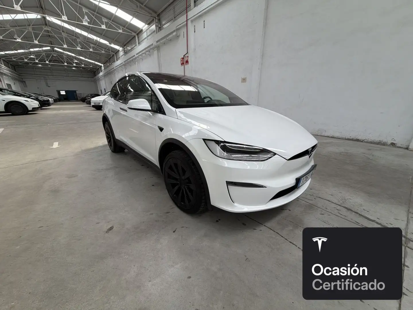 Tesla Model X Palladium Blanco - 2