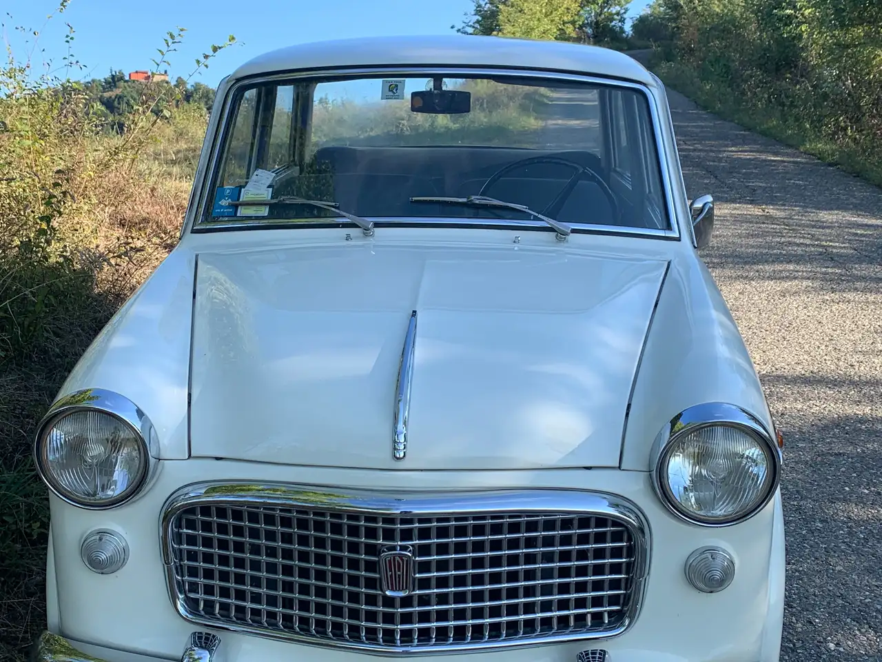 Fiat 1100 D special, foto 2