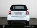 smart forTwo fortwo cabrio passion NAVI*EINPARKHILFE*LED*SHZ* Weiß - thumbnail 4