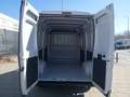 Fiat Ducato Fg. 35 2.3Mjt LPGR Medio 95kW S35 Blanco - thumbnail 10