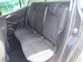 Ford Focus 1.0 EcoBoost 125 CV automatico 5p. Business Co-Pil Blu/Azzurro - thumbnail 10