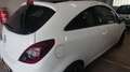 Opel Corsa D Facelift 1,4i 101PS Color Edition  Panoramadach Weiß - thumbnail 6