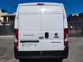 Fiat Ducato LH2 2.3 M-JET FURGONE PASSO LUNGO TETTO ALTO 3PSTI Bianco - thumbnail 4