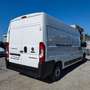 Fiat Ducato LH2 2.3 M-JET FURGONE PASSO LUNGO TETTO ALTO 3PSTI Bianco - thumbnail 3