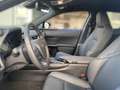Lexus UX 250h UX 250 h Style+ Edition KAMERA EPH Weiß - thumbnail 10