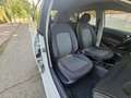 SEAT Ibiza 1.6TDI CR FR 105 Blanco - thumbnail 9