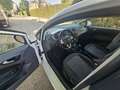 SEAT Ibiza 1.6TDI CR FR 105 Blanco - thumbnail 13