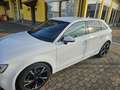 Audi A3 Sportback 1.6 tdi Ambition 110cv E6 - thumbnail 11