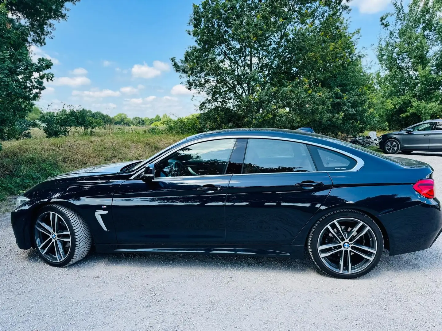 BMW 420 420 Corp. L. Hi Ex. Bruin - 1