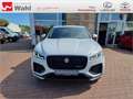 Jaguar F-Pace 2.0 R-Dynamic SE AWD Weiß - thumbnail 5