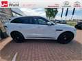 Jaguar F-Pace 2.0 R-Dynamic SE AWD Weiß - thumbnail 24