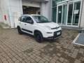Fiat New Panda 4x4 Bianco - thumbnail 3