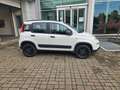 Fiat New Panda 4x4 Bianco - thumbnail 4