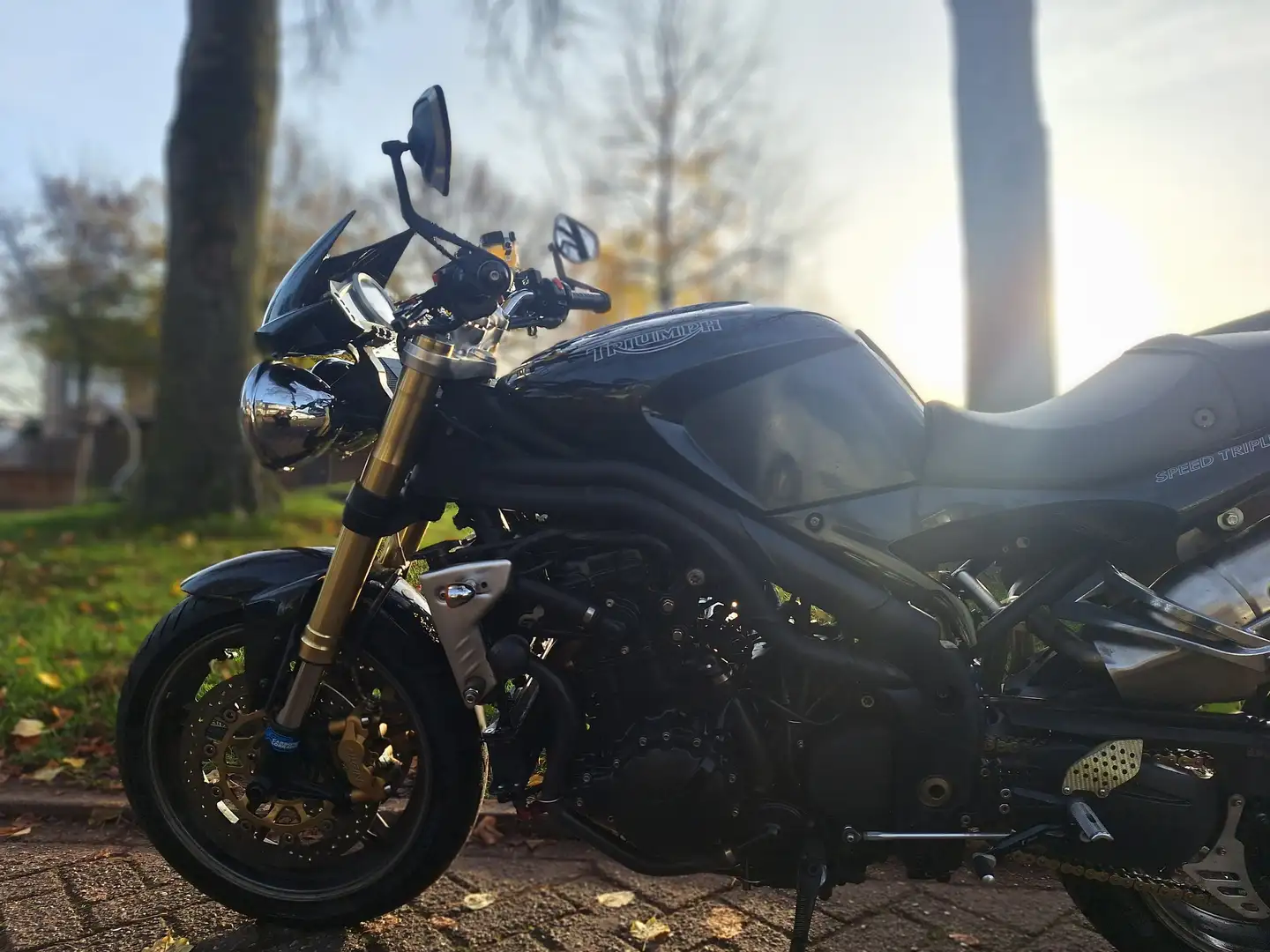 Triumph Speed Triple 1050 Zwart - 1