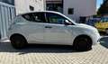 Lancia Ypsilon Lacia Ypsilon III 1.2 Benzina Platinum Neopatentat Grau - thumbnail 5