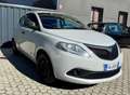Lancia Ypsilon Lacia Ypsilon III 1.2 Benzina Platinum Neopatentat Grau - thumbnail 3