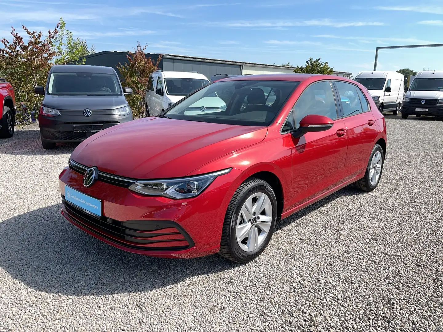 Volkswagen Golf Life TSi LED-Matrix-Scheinwerfer CarPlay Rot - 2