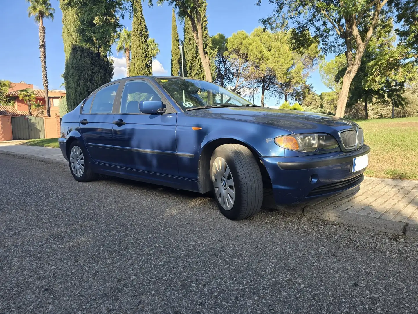 BMW 318 318i Azul - 1